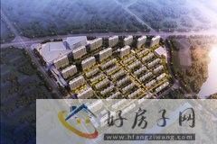 嘉宏空港国际星光城一层一户城芯平墅值得买吗            </h1>(图8)